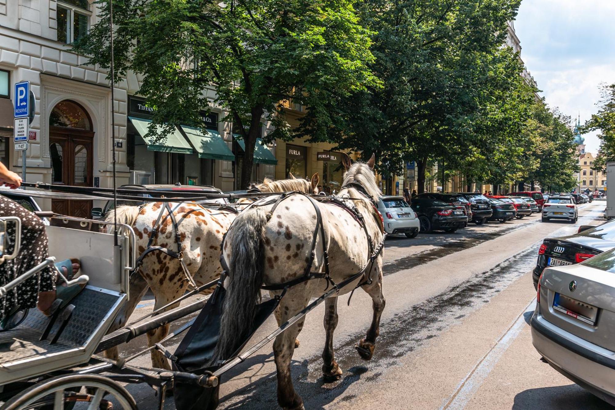 Wishlist Prague Residences - Old Town Dlouha Eksteriør billede